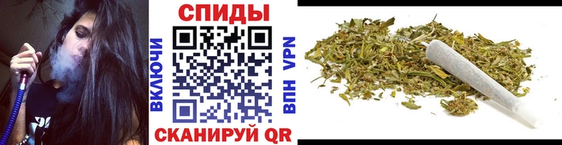 Бутират буратино Нововоронеж