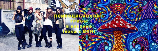 твердый Нефтекумск