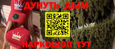 шишки Аргун