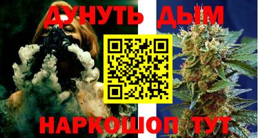 шишки Аргун
