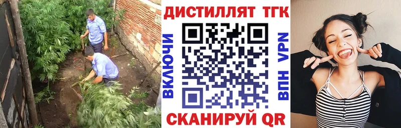 купить закладку  Нововоронеж  Дистиллят ТГК Wax 