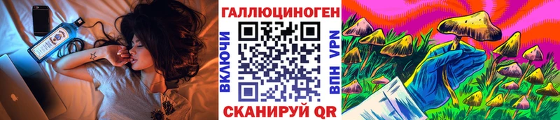 Псилоцибиновые грибы Psilocybe Нововоронеж