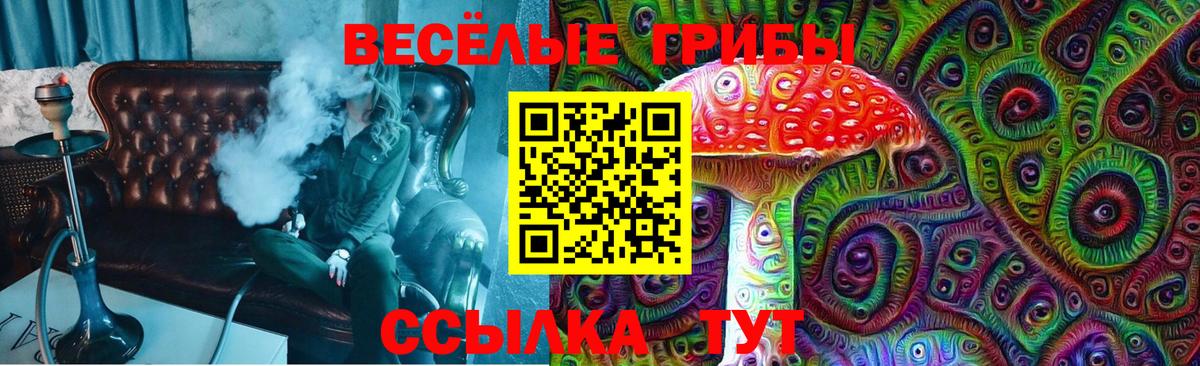 Галлюциногенные грибы ЛСД  магазин продажи   Нововоронеж 