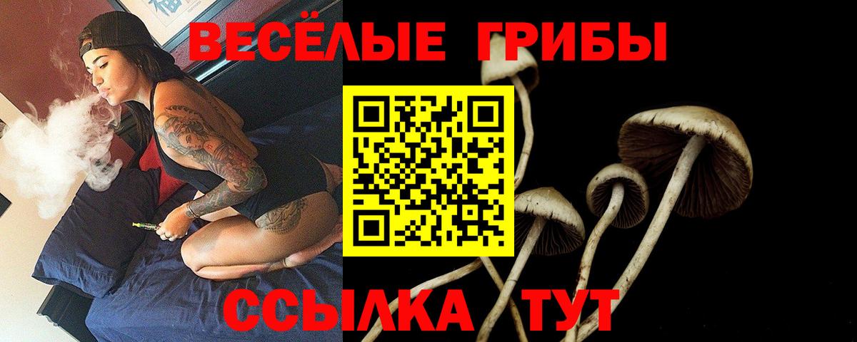 Псилоцибиновые грибы ЛСД  Вход с VPN  Галлюциногенные грибы Cubensis  Нововоронеж 