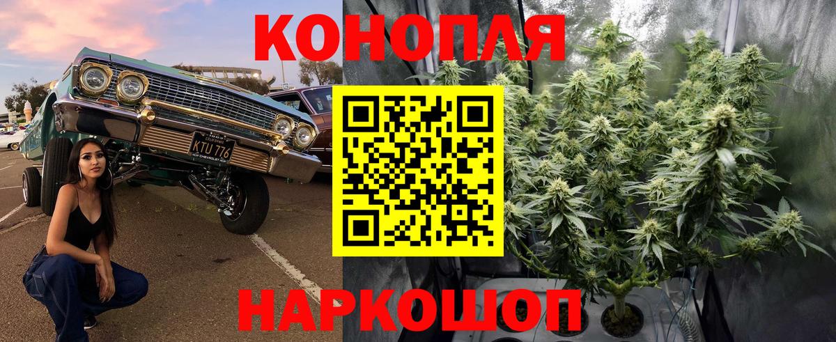 Бошки марихуана Ganja Нововоронеж